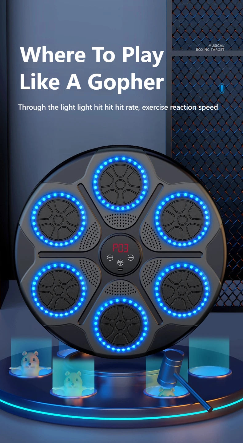 Home Smart Boxing System