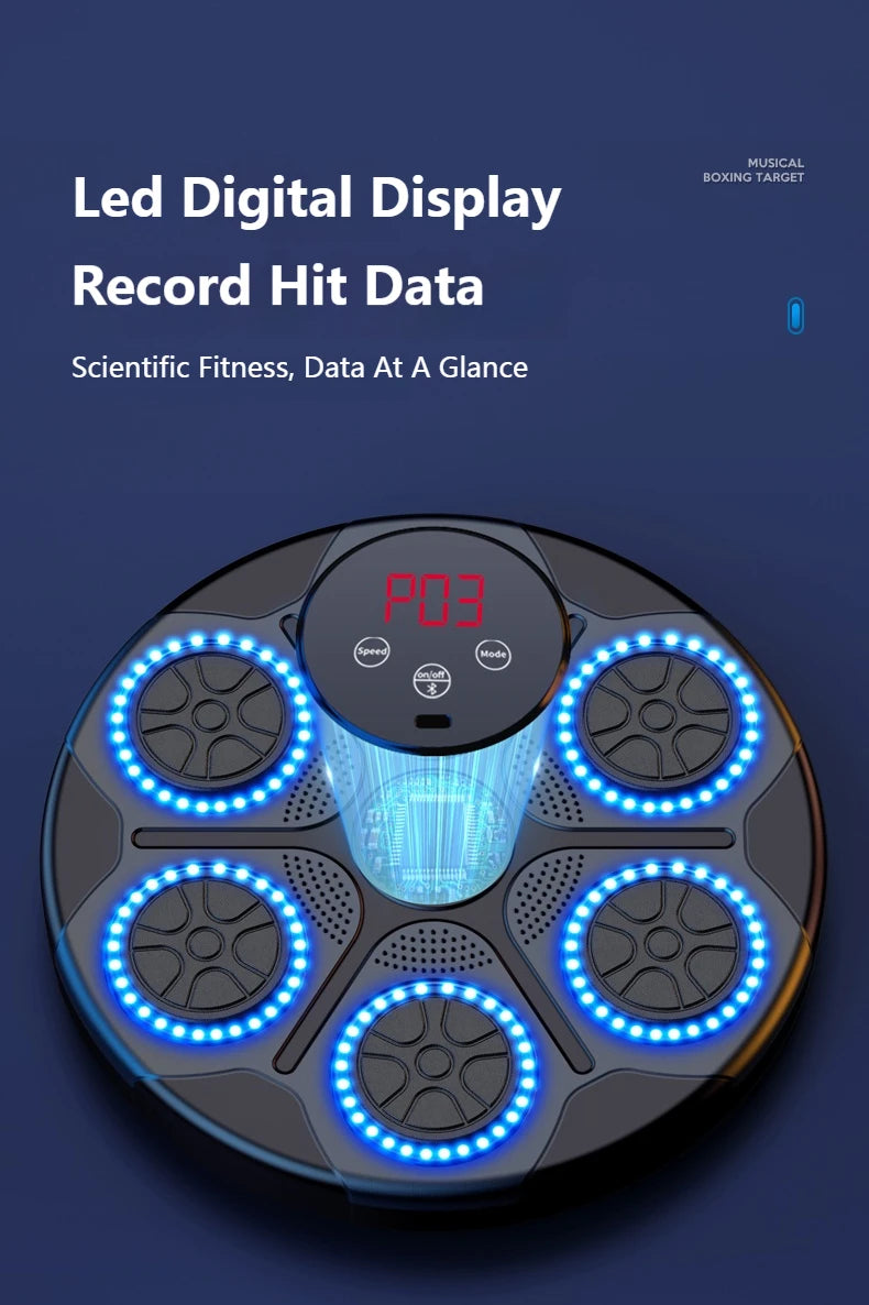 Home Smart Boxing System