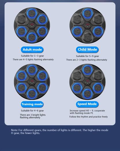 Home Smart Boxing System
