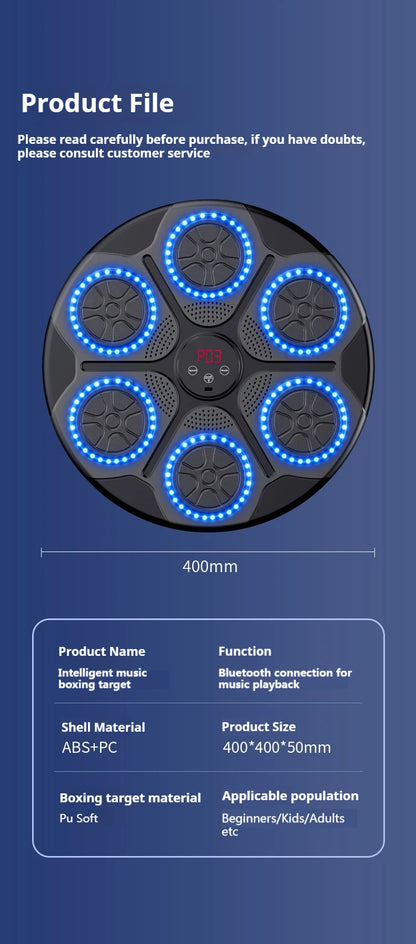 Home Smart Boxing System