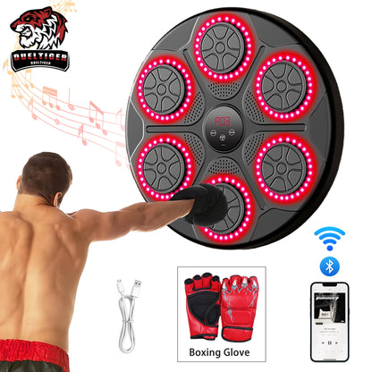 Home Smart Boxing System