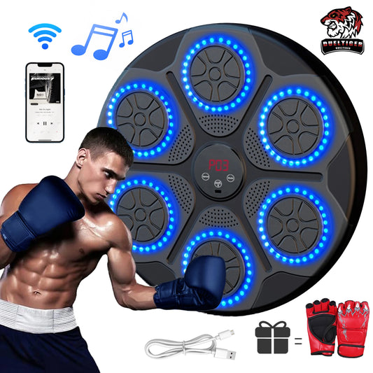 Home Smart Boxing System