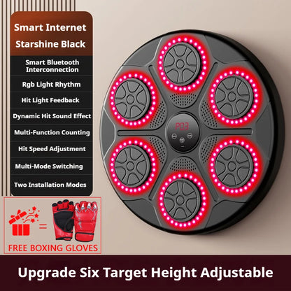Home Smart Boxing System